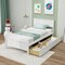 Twin Size Platform Bed with Drawers, Wood Headboard and Sturdy Frame